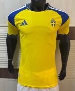 2026 Sweden Home player version Soccer Jersey S-XXL